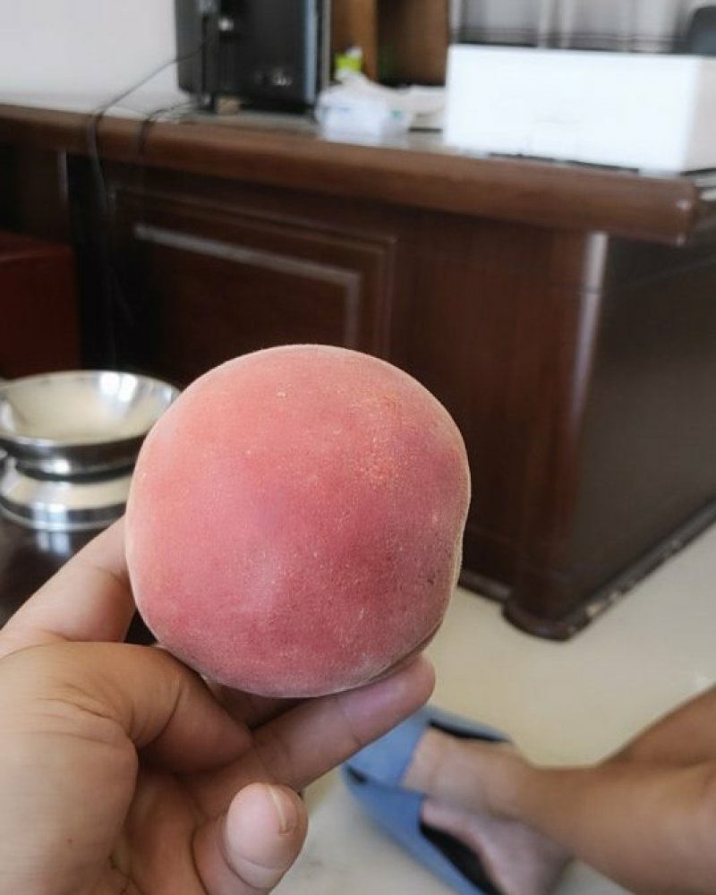 江苏秋园蜜挑