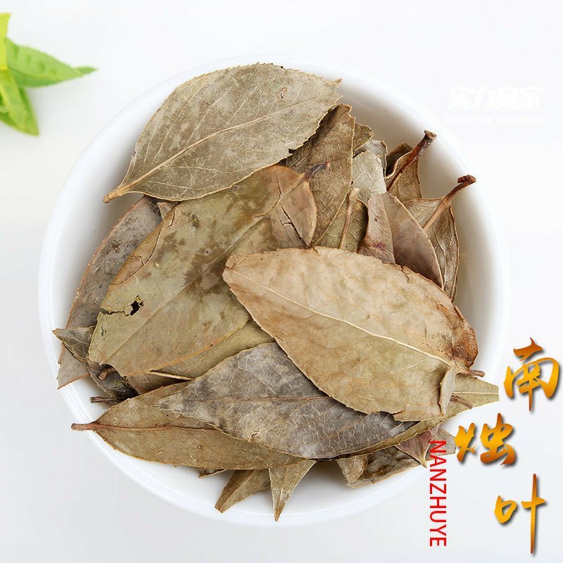 乌饭叶南烛叶中药材南烛叶乌饭叶南烛叶茶南烛叶