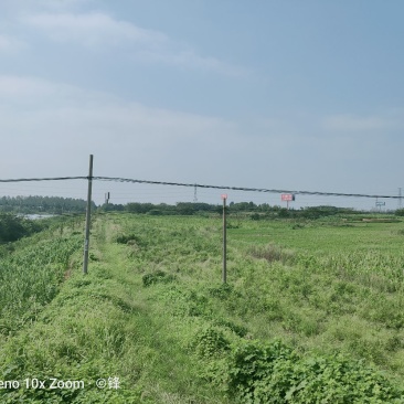 句容市30亩土地，可以养殖