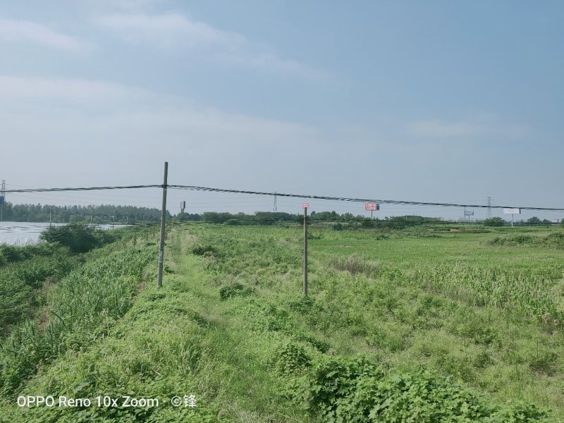 句容市30亩土地，可以养殖