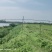句容市30亩土地，可以养殖