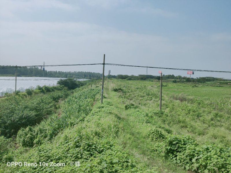 句容市30亩土地，可以养殖