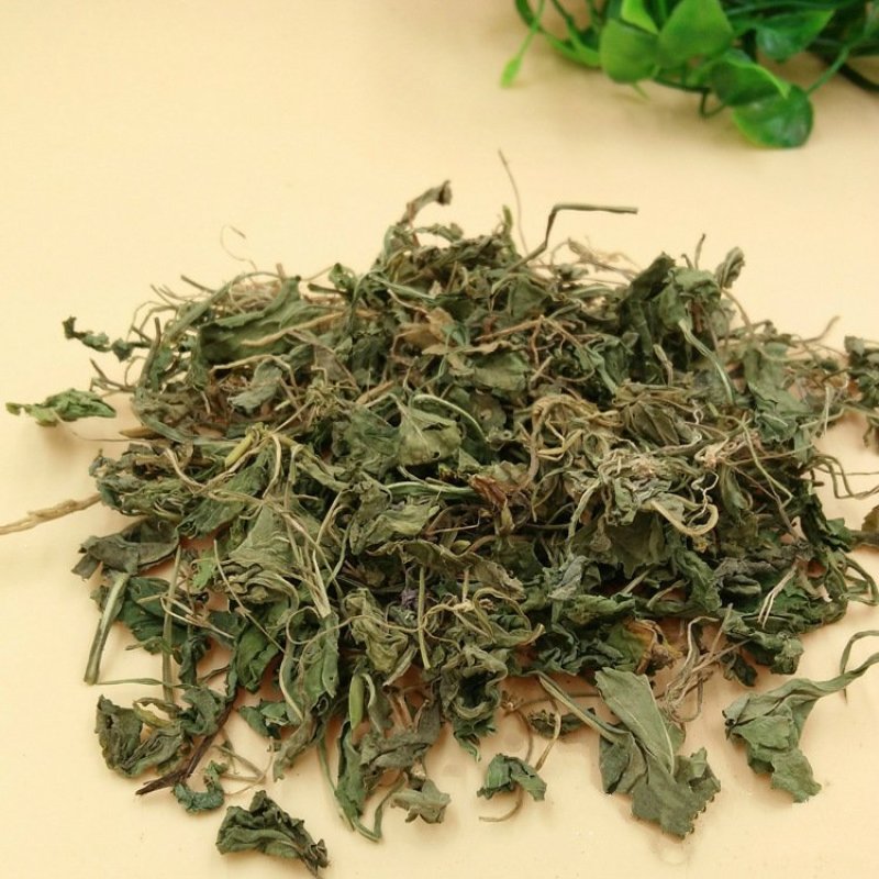 紫花地丁地丁紫花地丁中药材苦地丁草铧头