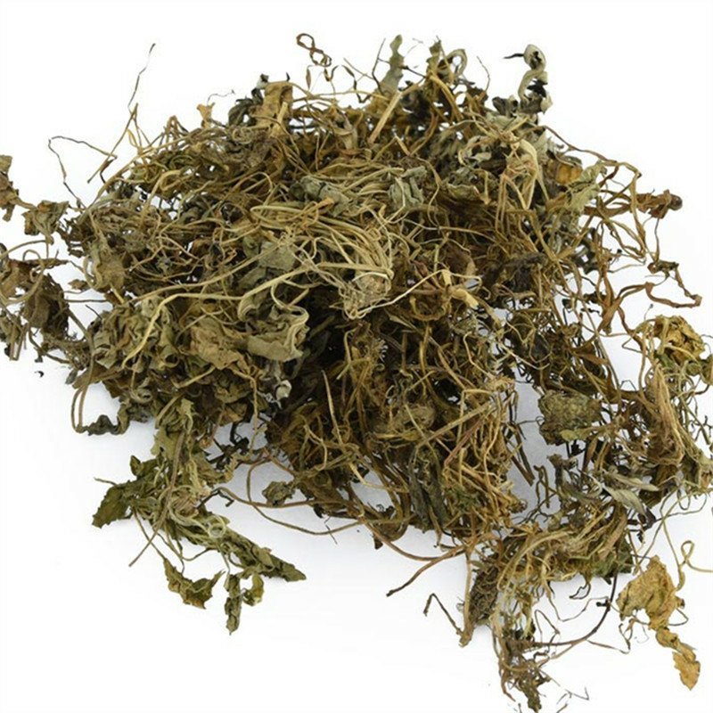紫花地丁地丁紫花地丁中药材苦地丁草铧头