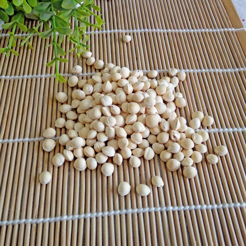 樱桃籽樱桃核樱桃核樱桃子樱桃籽中药材