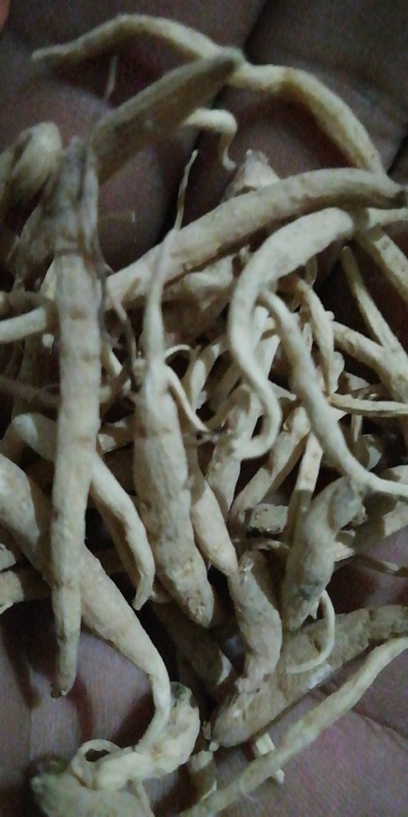 贵州牛大场太子参假一赔十