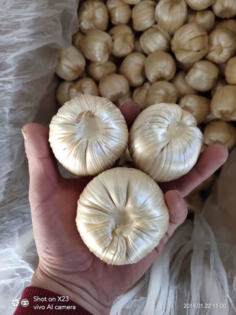 芝麻糖糖瓜