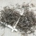 白花蛇舌草各种规格可打粉舌草货品多可详聊