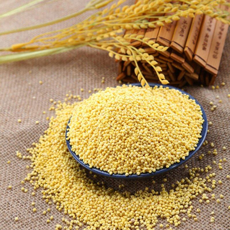 北秫米秫米北秫米药用中药材正品糯小米