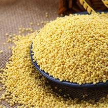 北秫米秫米北秫米药用中药材正品糯小米