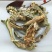 仙人掌可打粉仙人掌干龙舌观音掌批发零售中药材