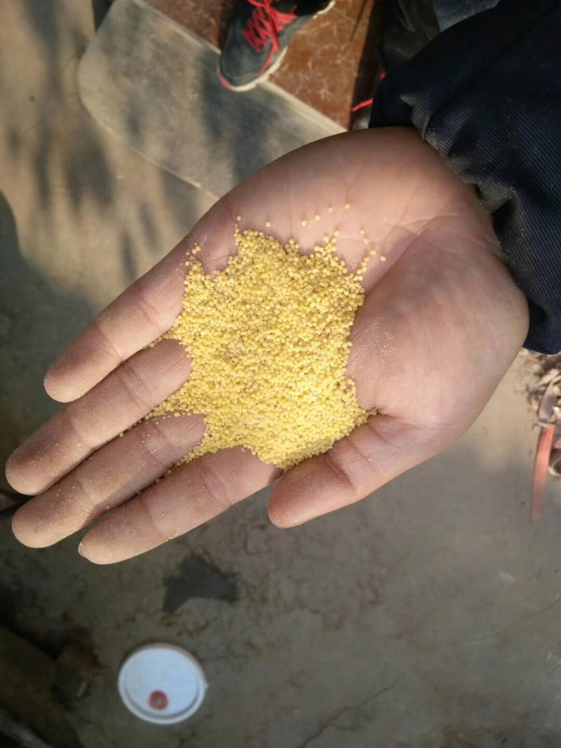 送给家人的礼物