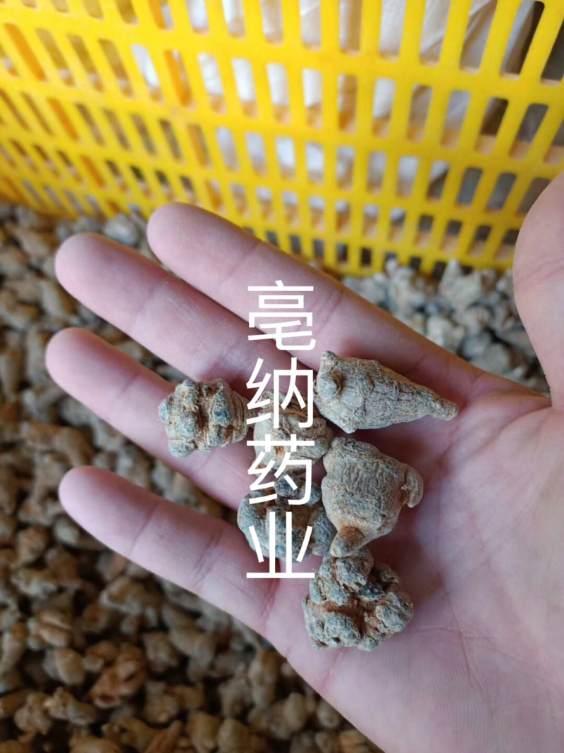 三七云南1斤起批可代打粉