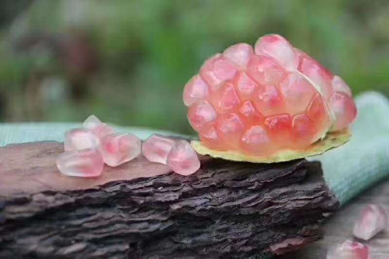 甜石榴，酸石榴