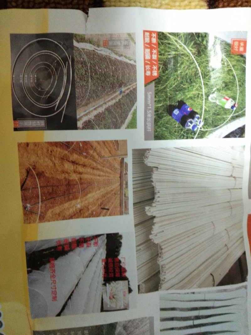 玻璃钢纤维杆塑料农用大棚拱棚支架果树定植杆