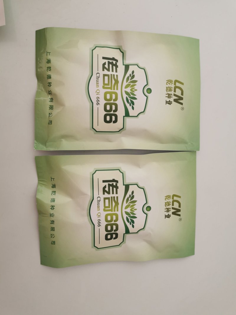 越夏耐热黄瓜种子传奇666强雌油亮高产晚春越夏早秋
