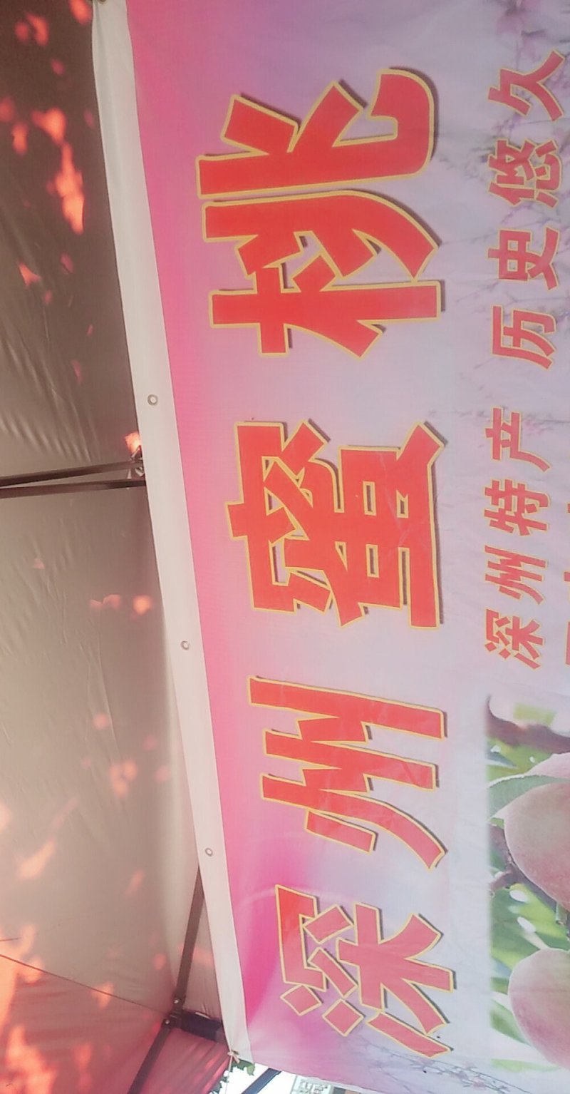 深州蜜桃