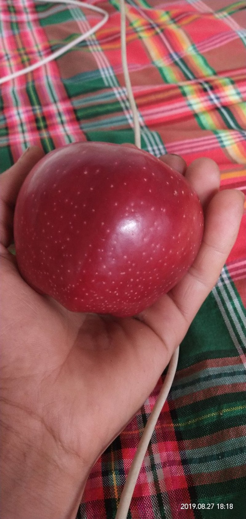 红星苹果🍎