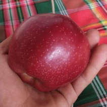 红星苹果🍎
