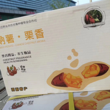 海南澄迈桥头富硒地瓜.高品质板栗薯〖纳薯〗板栗薯