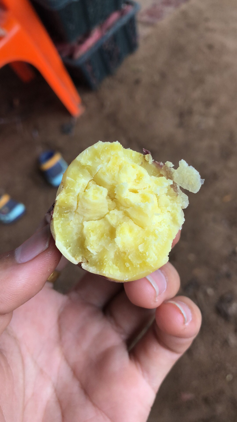 海南澄迈桥头富硒地瓜.高品质板栗薯〖纳薯〗板栗薯
