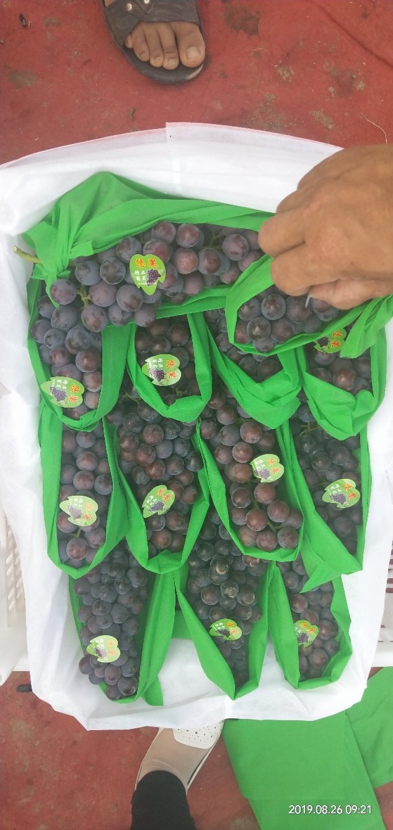 夏黑葡萄