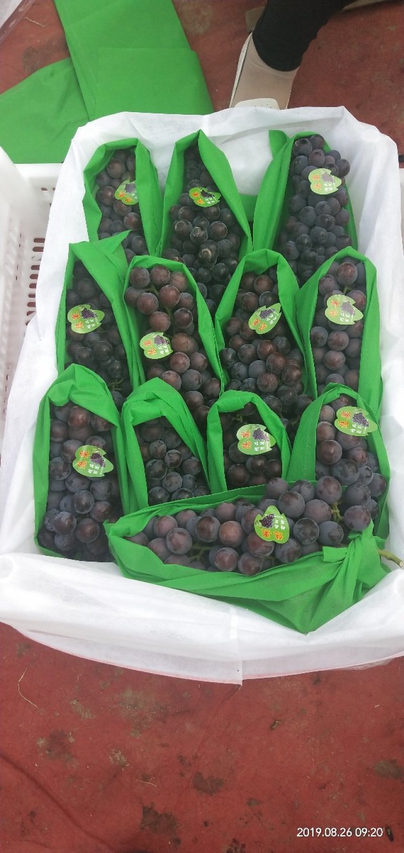 夏黑葡萄