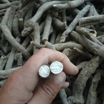 亳州市卫岗镇地产中药材白芍开花芍都是干