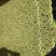 代收毛芹