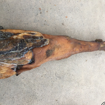 自家腊肉，慢慢风干的腊肉，无饲料喂养……