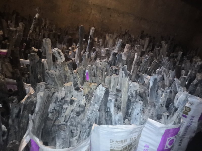 菊花炭，钢炭，青杠炭，橡木白炭，烧烤炭，高温白炭