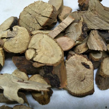 茅梅根三月泡茅梅根茅莓根红梅消根三月根