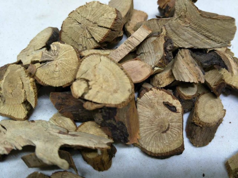 茅梅根三月泡茅梅根茅莓根红梅消根三月根