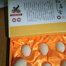 孔雀蛋，孔雀食用蛋，孔雀孵化蛋。蛋营养丰富，蛋白质粉高。
