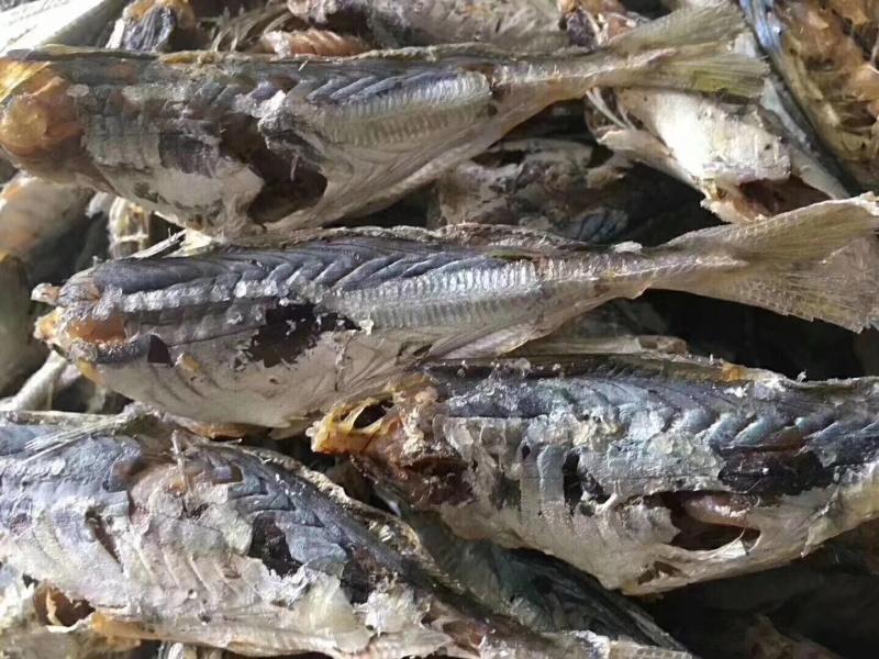就船晒的巴浪鱼干