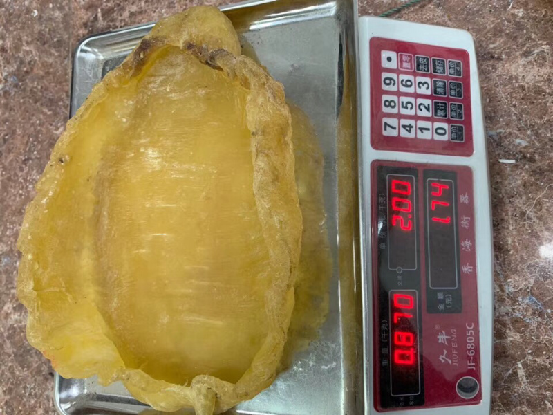 花胶巨大斗胡胶1.74斤/个1.72斤/个