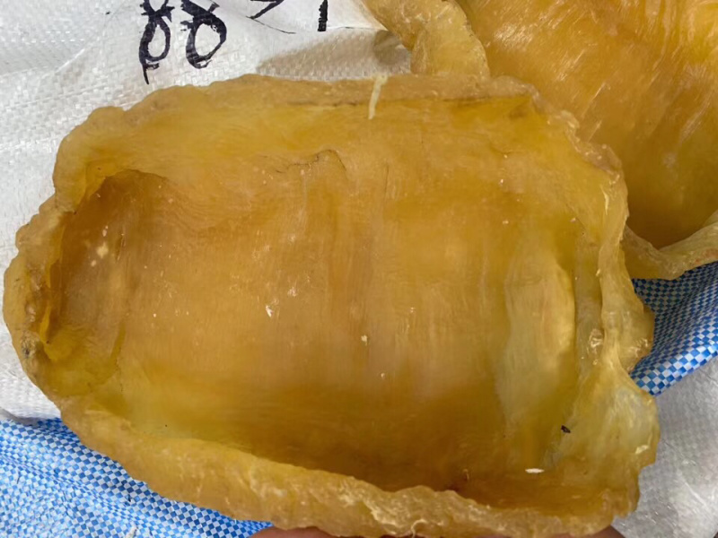 花胶巨大斗胡胶1.74斤/个1.72斤/个