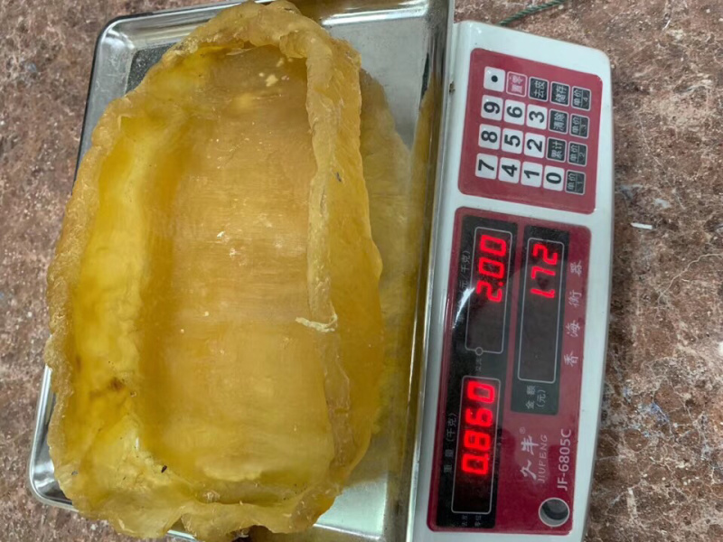 花胶巨大斗胡胶1.74斤/个1.72斤/个