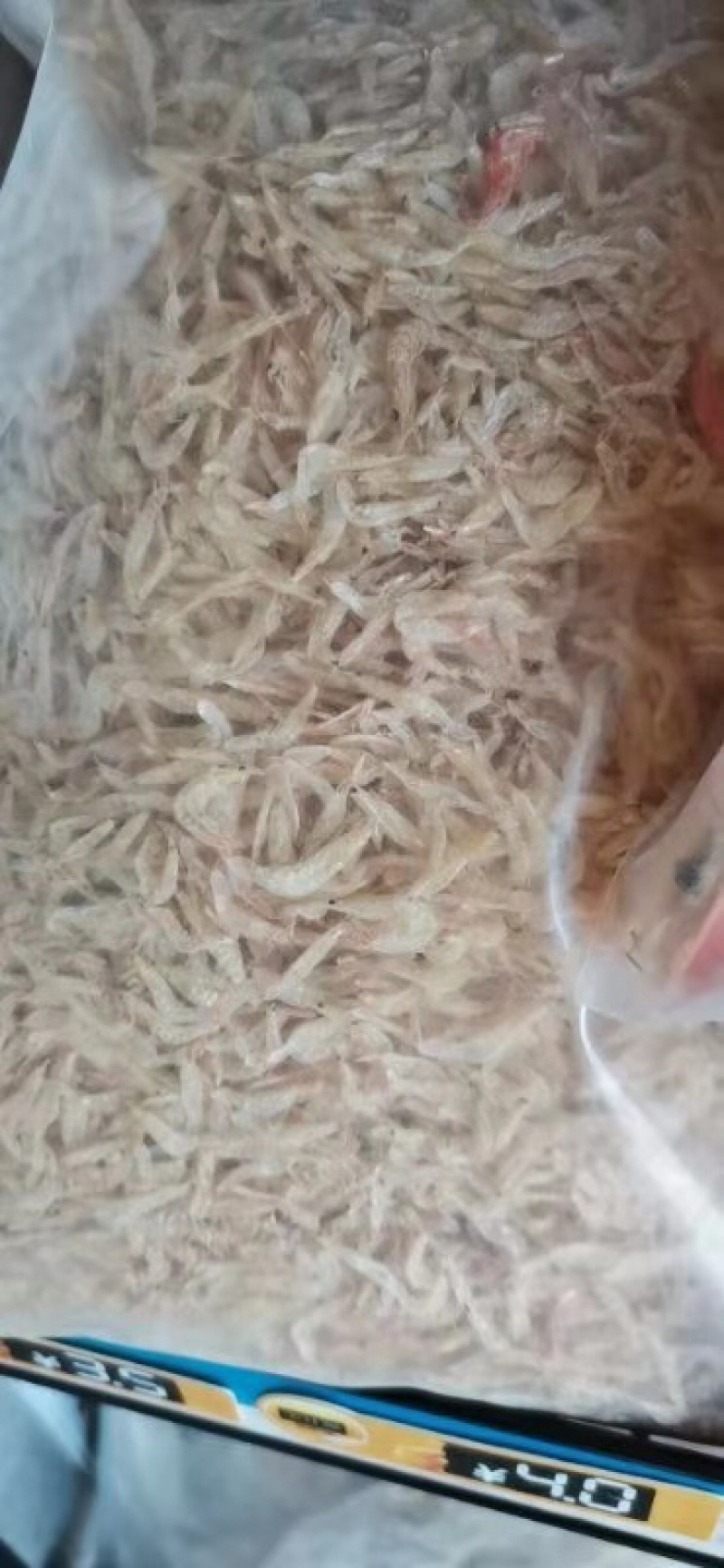 虾皮