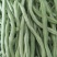 茂县高山生态无茎豆大量上市了