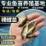 水产，裸鲤鱼苗，货源充足，产地直发，支持货到付款。