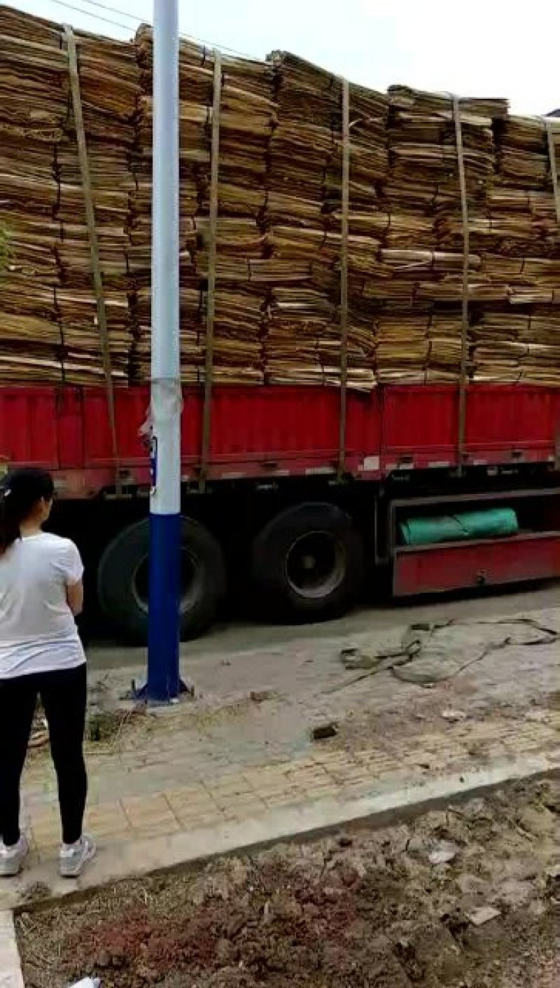 板皮长一米，宽50公分，价格每张0.95元05