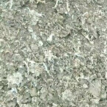 山东省德州市夏津县出售砖地凉晒的有机肥干鸡粪保证质量