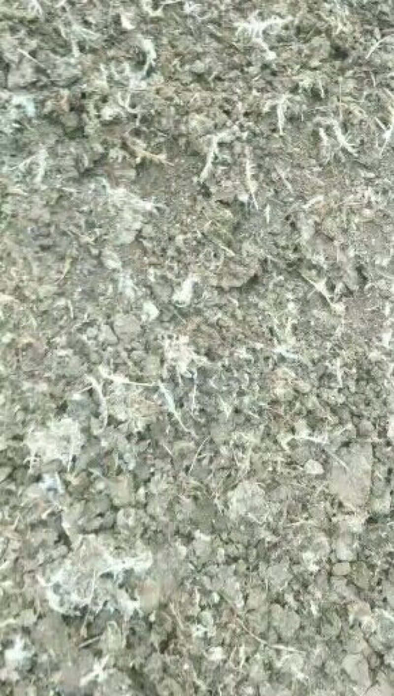 山东省德州市夏津县出售砖地凉晒的有机肥干鸡粪保证质量