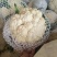优质松花菜花大量上市产地直供货源充足