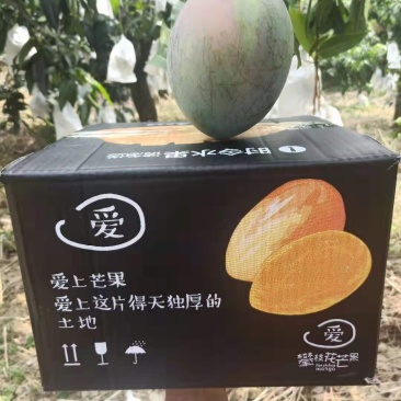 四川攀枝花凯特芒，支持代办，物流，拼车，落地配，电商平台