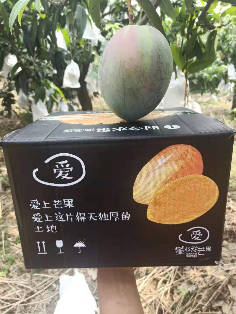 四川攀枝花凯特芒，支持代办，物流，拼车，落地配，电商平台