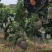 四川攀枝花凯特芒，支持代办，物流，拼车，落地配，电商平台