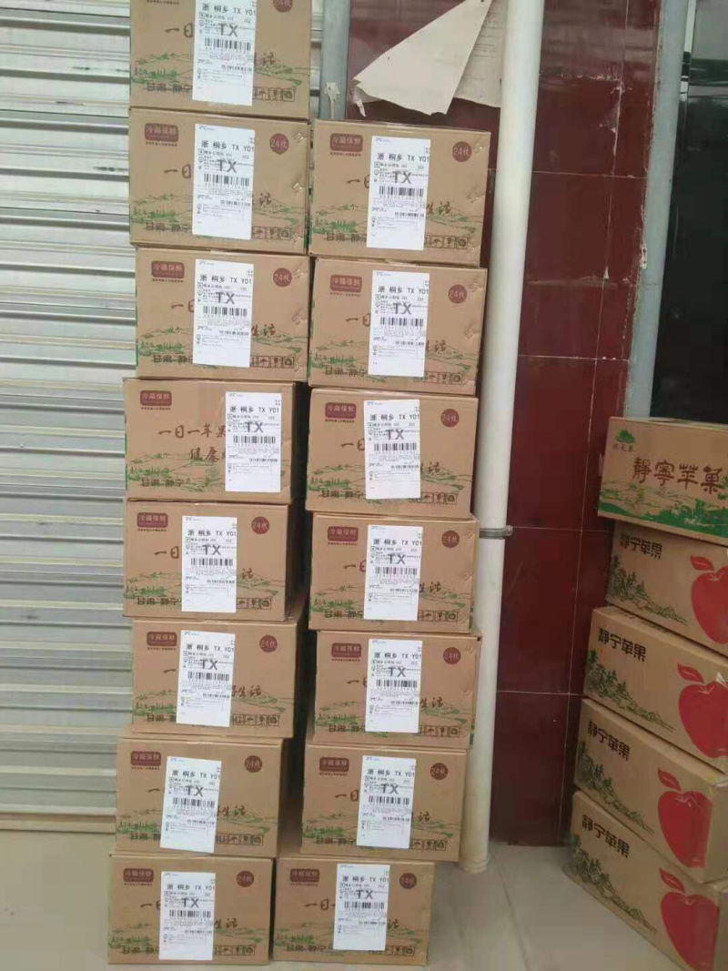 甘肃静宁红富士苹果包邮产地直销量大从优！