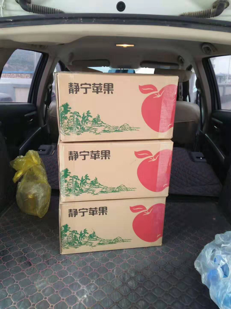 甘肃静宁红富士苹果包邮产地直销量大从优！